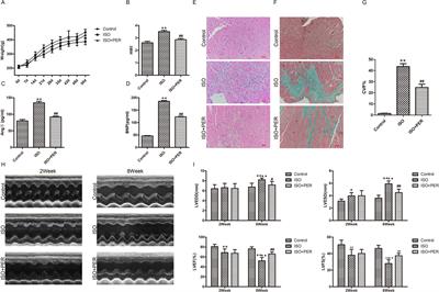 Perindopril Improves Cardiac Function by Enhancing the Expression of SIRT3 and PGC-1α in a Rat Model of Isoproterenol-Induced Cardiomyopathy